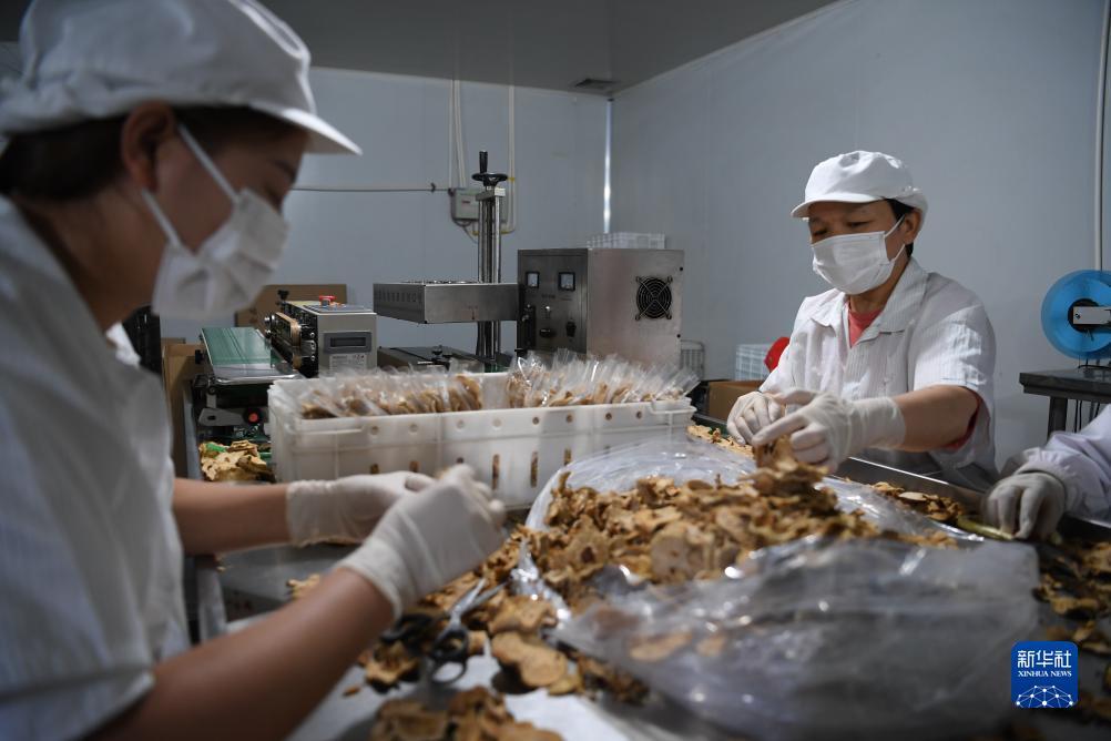 宾利棋牌官网
